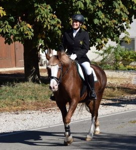Pferdeführerschein reiten